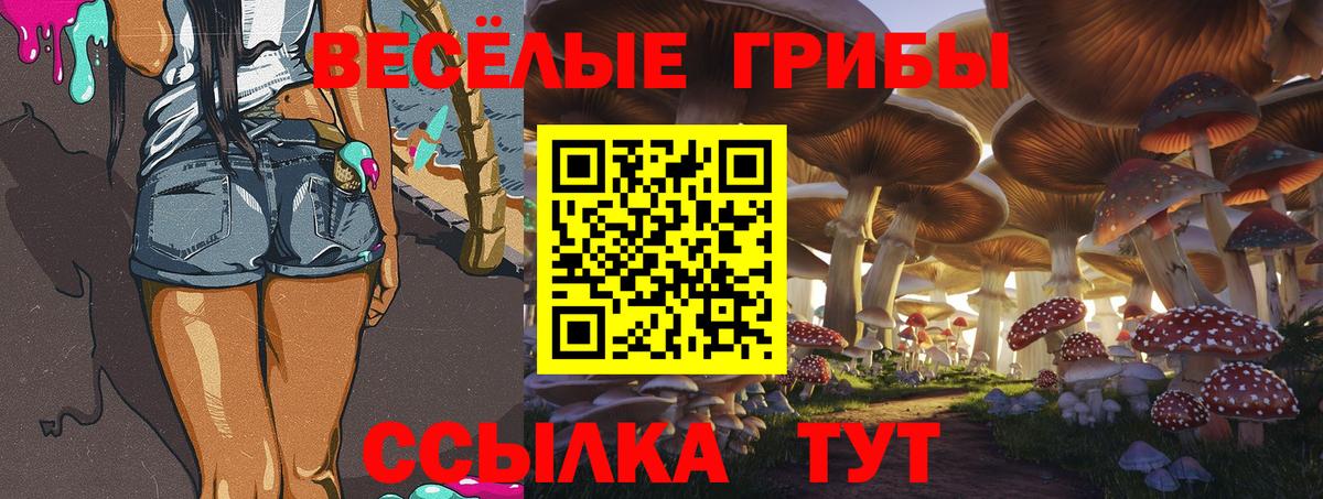 Электрогорск  Псилоцибиновые грибы MAGIC MUSHROOMS  Вход с VPN 